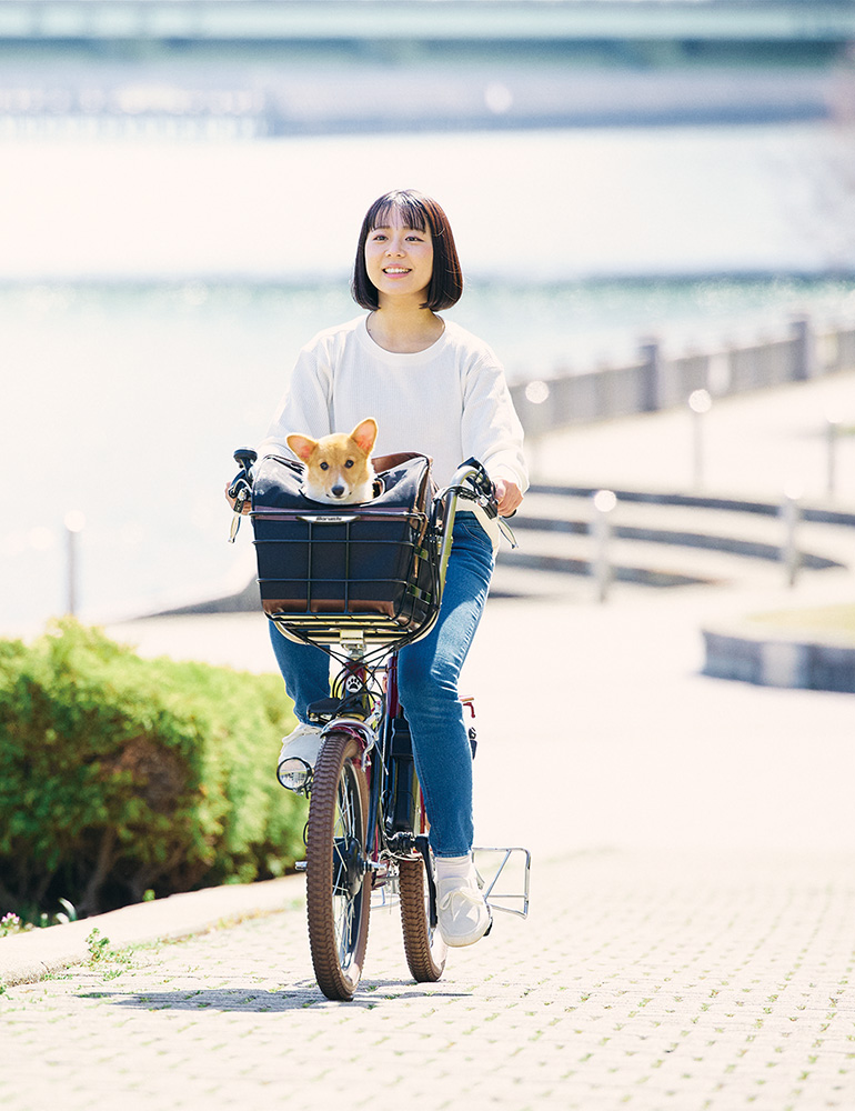 引っ張るアシスト感。丸石サイクルの電動アシスト。 | 丸石サイクル